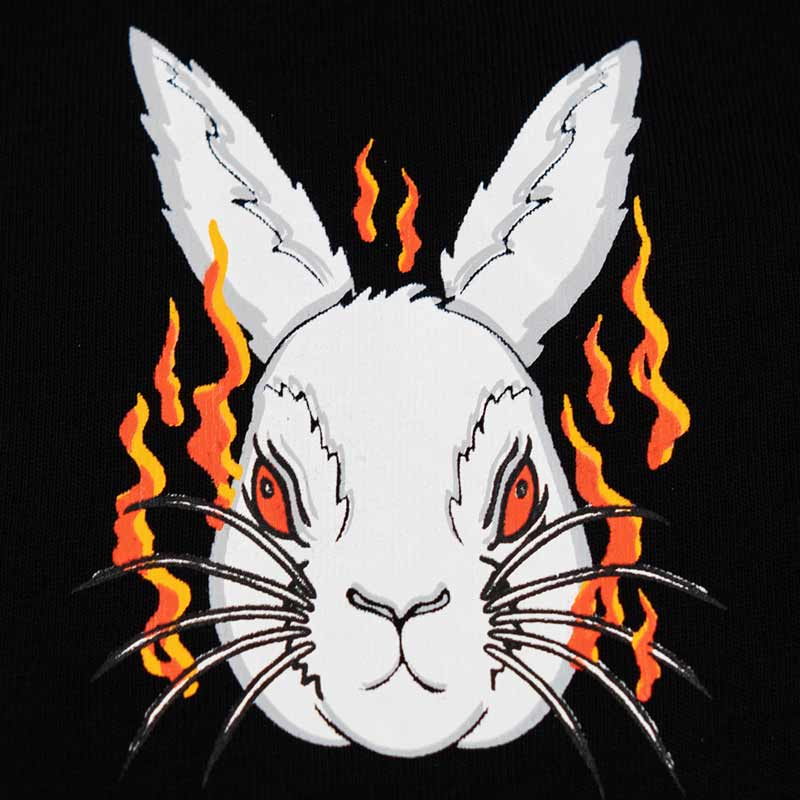 close up view of the rabbit head with flames around it.