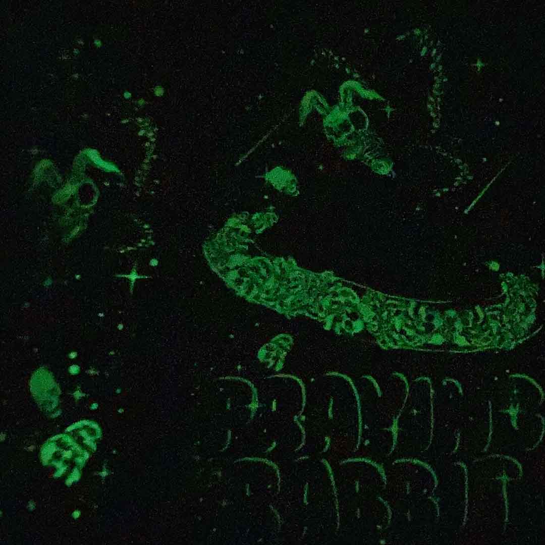 glow in the dark rabbit butterly skull flying over a planet. the entire design glows green in the dark